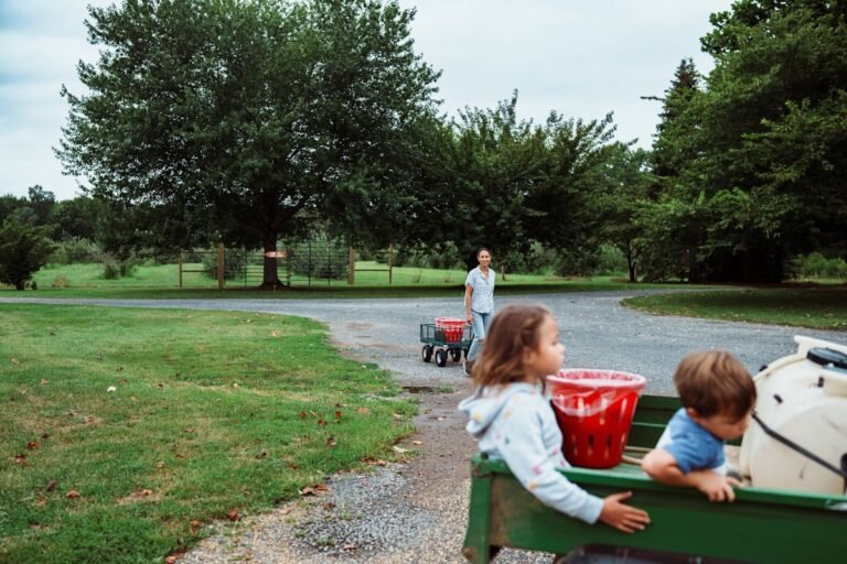Bug Bites and Babies: A Calm Summer Triage Guide